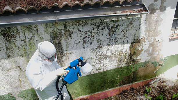 Top rated local Mold Cleanup specialists in Paris, VA